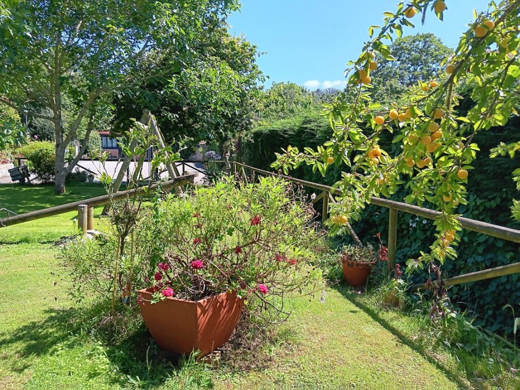 rincon-jardin-jarabiega-sebreñu