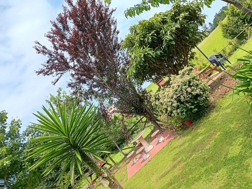 zona-ajardinada-sebreñu-la-jarabiega