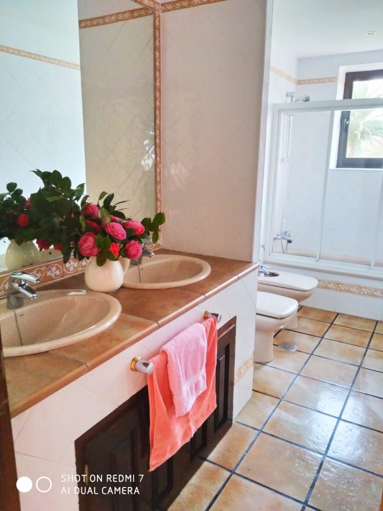 baño-el-urrogallo-casa-alquier-integro-sebreñu-asturias-