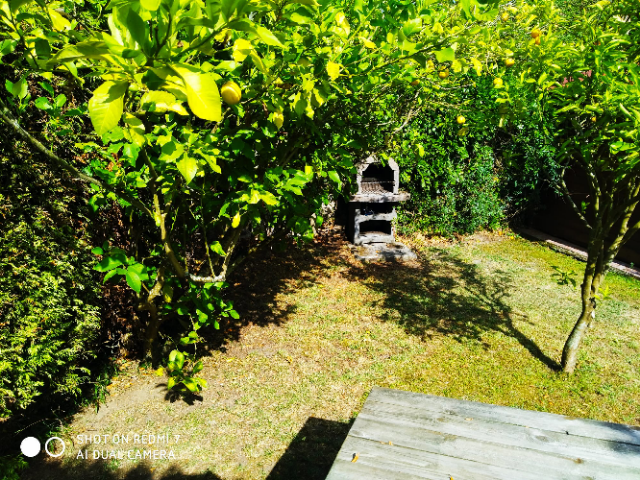barbacoa--casa-angelito-sebreñu