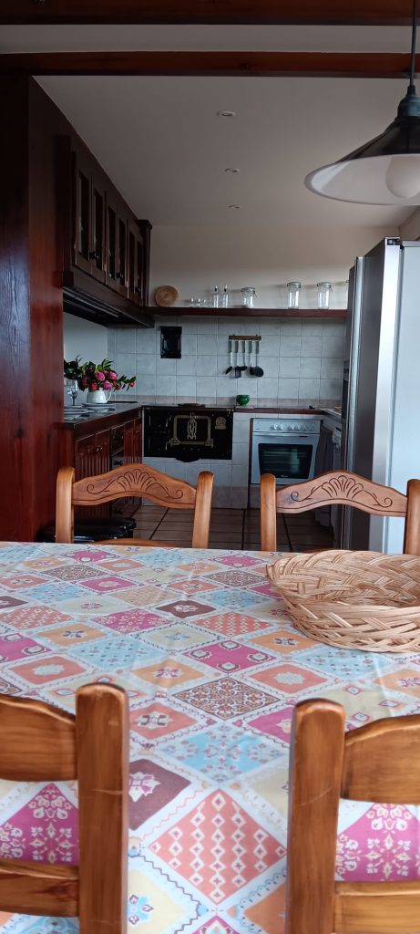 electrodomesticos-cocina-el-urrogallo-casa-alquier-integro-sebreñu-asturias