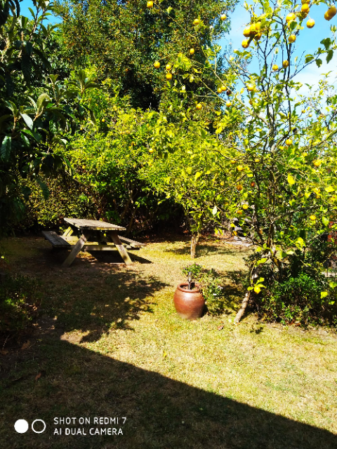 vivienda-vacacional-casa-angelito-sebreñu-ribadesella